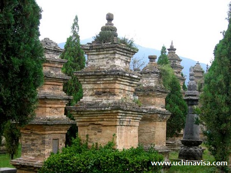 Shaolin Temple, Pagoda Frest